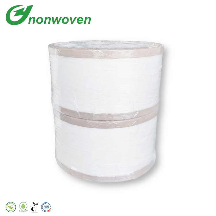 Biodegradable PLA Spunbond Nonwoven Fabric for Water Purifier Filter Element