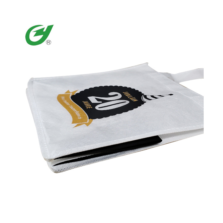 PLA Biodegradable Non Woven Gift Bag